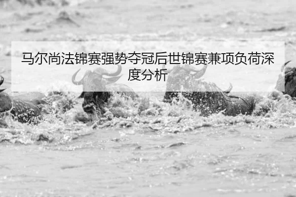 ma-er-shang-fa-jin-sai-qiang-shi-duo-guan-hou-shi-jin-sai-jian-xiang-fu-he-shen-du-fen-xi-2-562.jpg